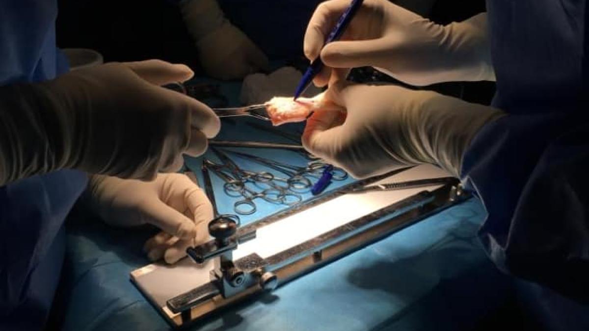 transplant_spitalul_militar_timisoara_29086300