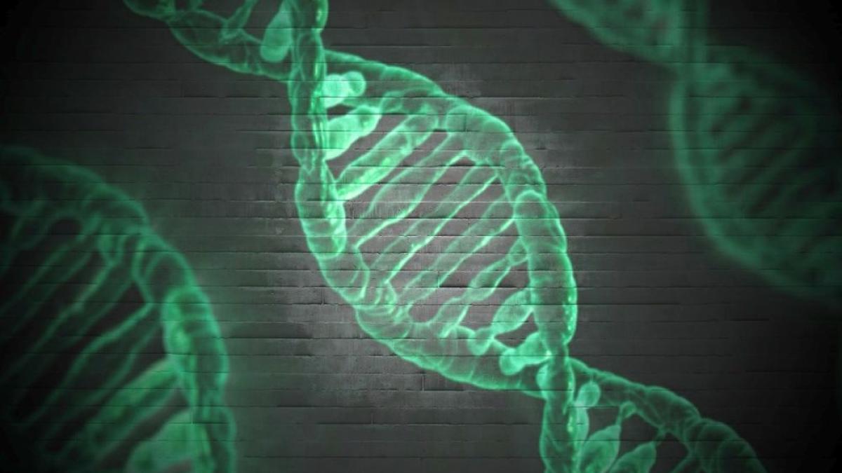 adn_gene_genetic_00676500