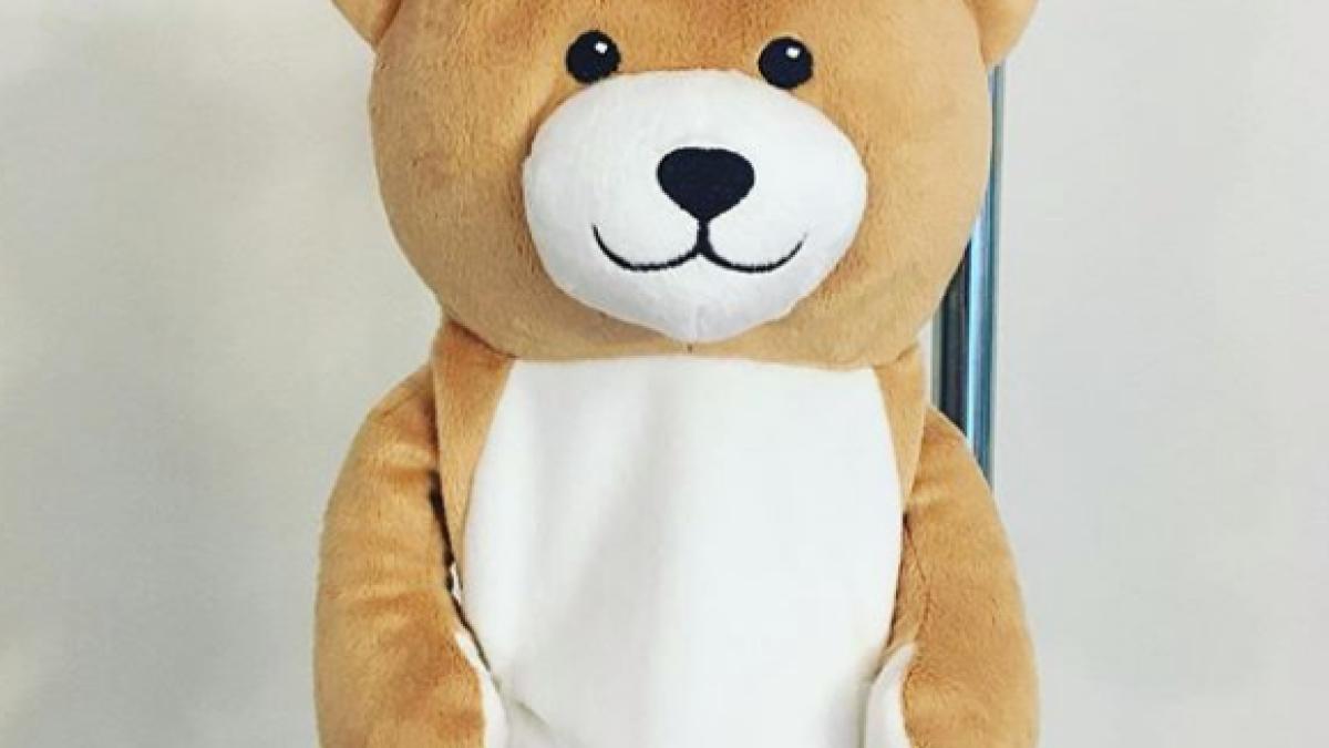 teddy_medi_ursulet_98966500