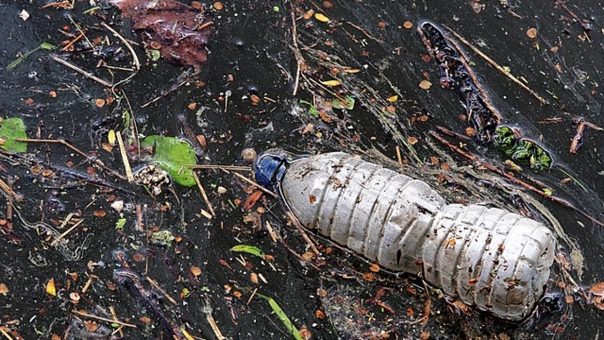 plastic_apa_74158200