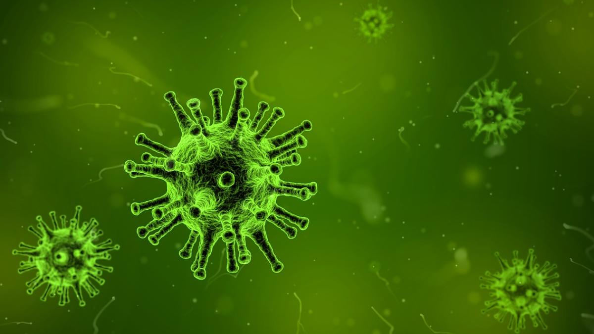virus_1812092_1280_24116900