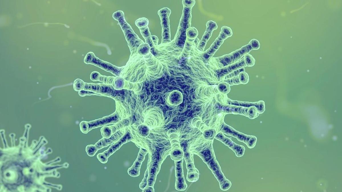 virus_72605600