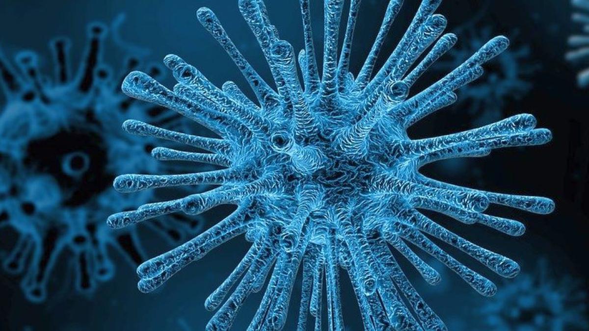 virus_66806000