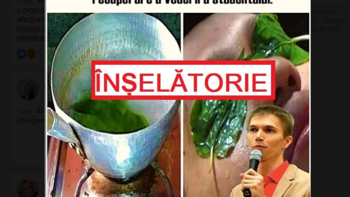 inselatorie_09599700