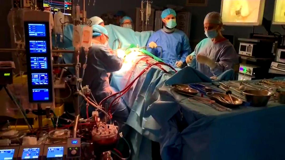 chirurgie_cardiaca_endoscopica__b_o_c_11455900