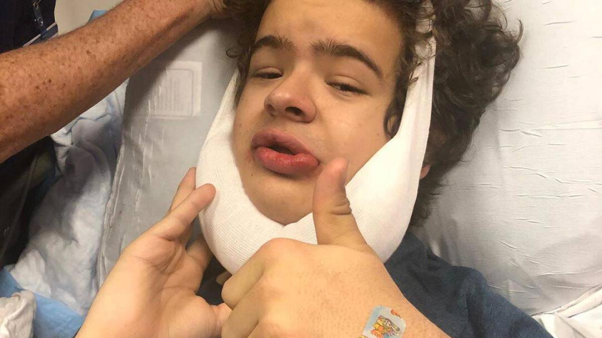 gaten_matarazzo_19308400