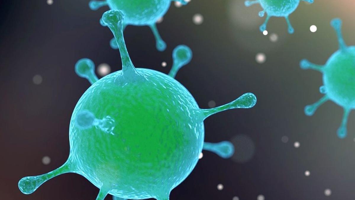 virus_coxsachie_38086800