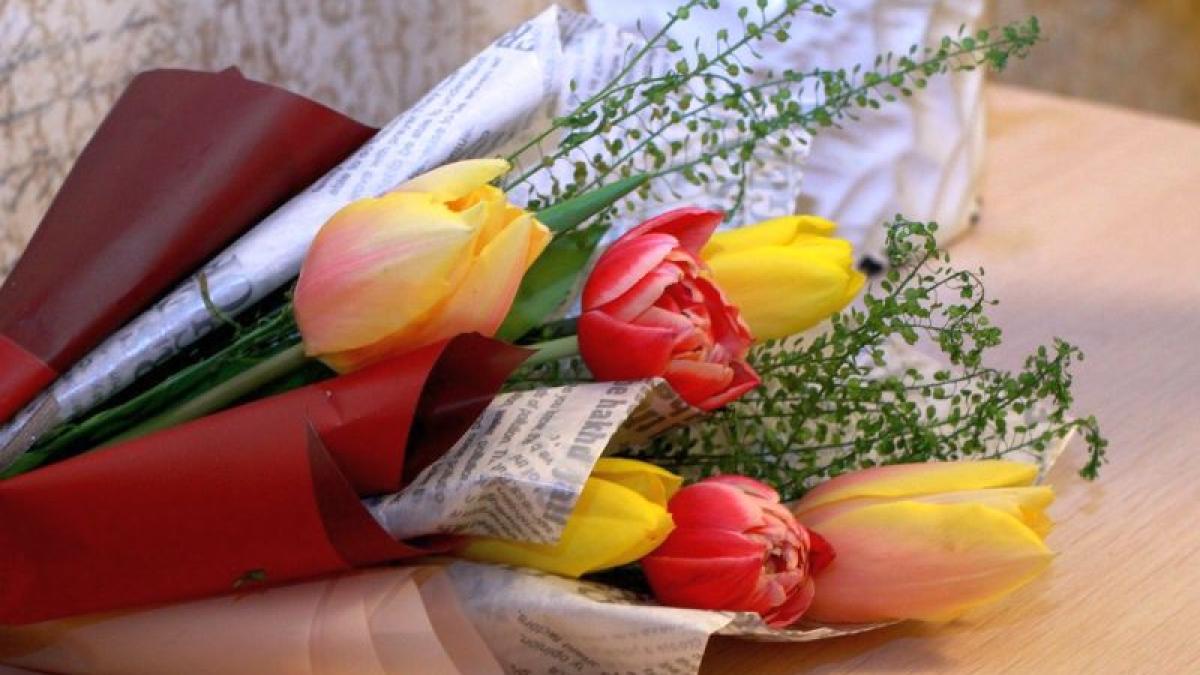 flori_lalele_72601500