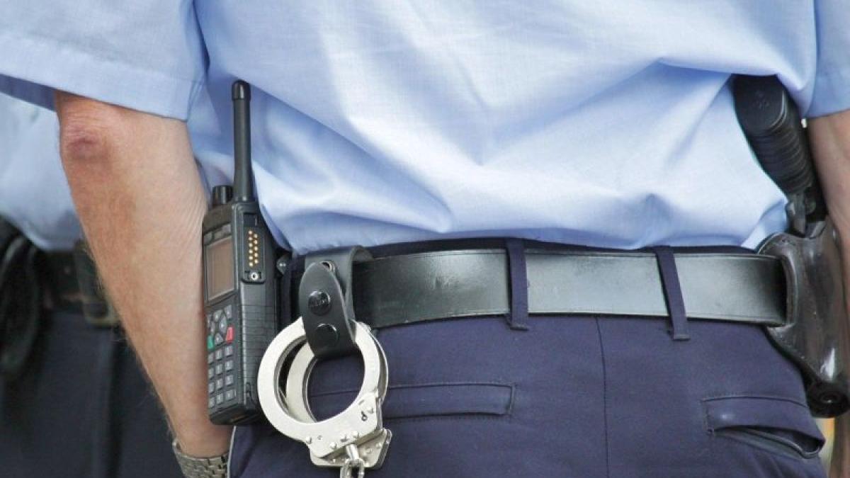 politie_catuse_72012700