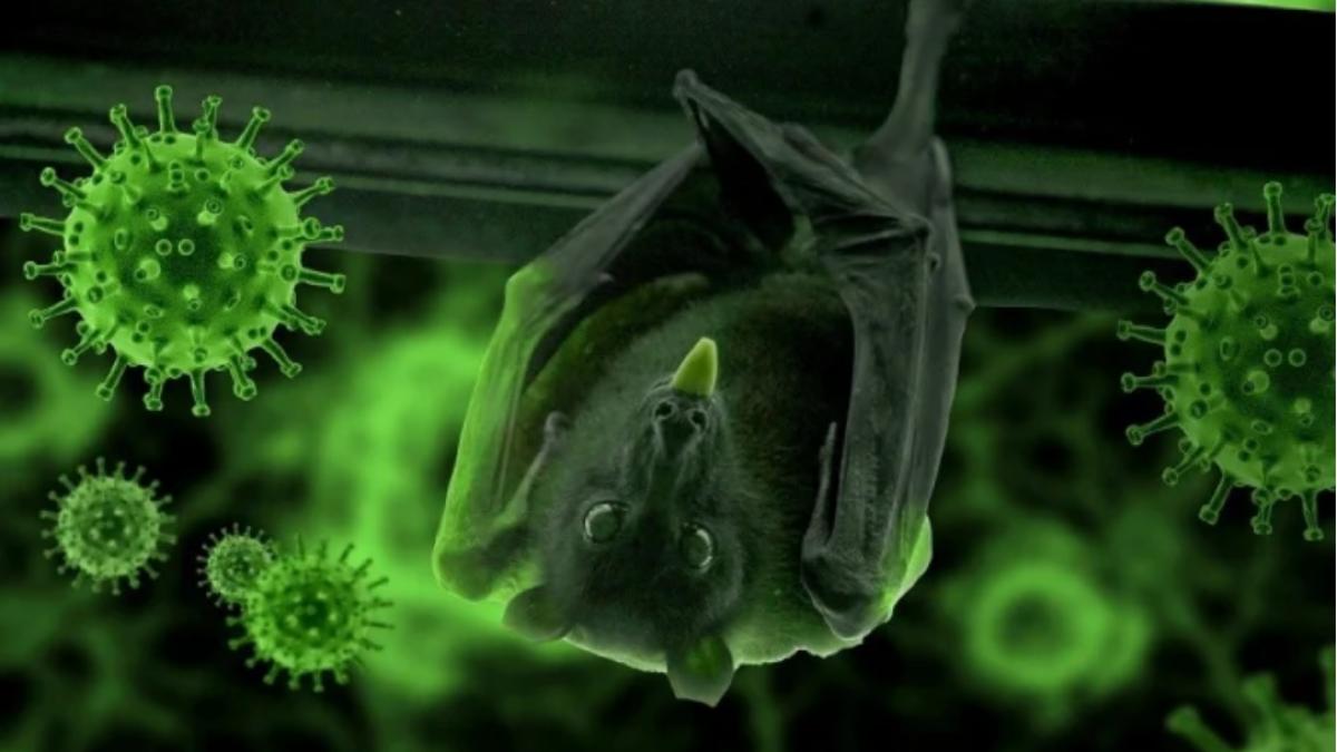 coronavirus_lilieci_40975900