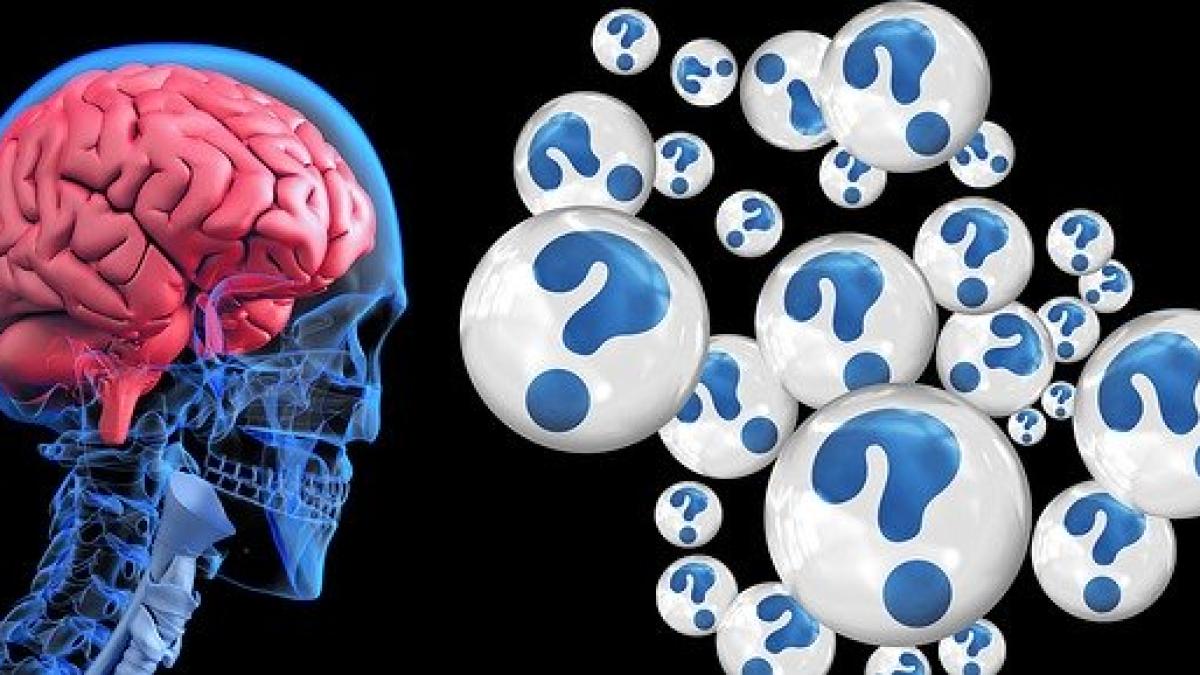 brain_2546101_640_82157500
