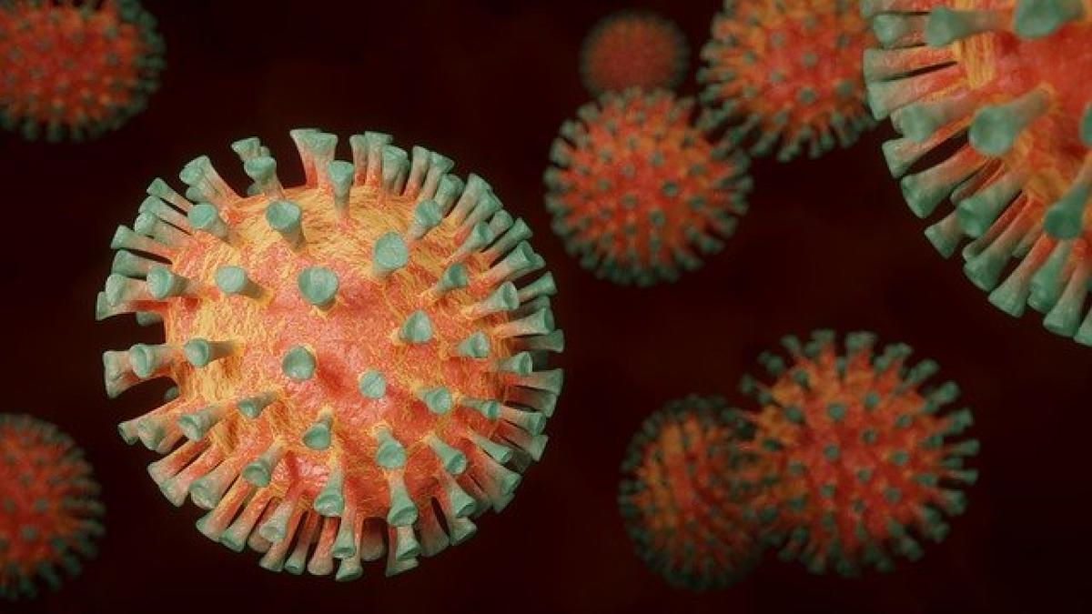coronavirus_4972480_640_33192900