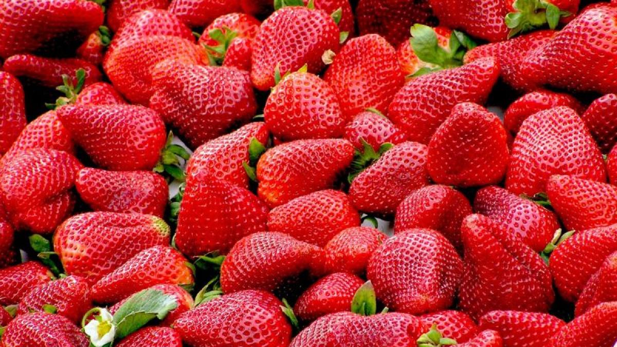 dieta_5_fructe_nelipsite_masa_45834200