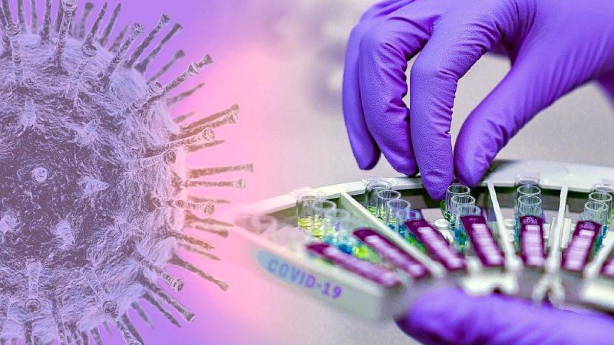 covid_19_coronavirus_analize_sange_eprubete_laborator_teste_62753000