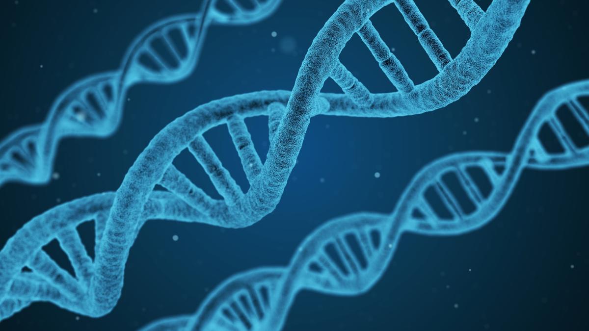 adn_gene_76084500