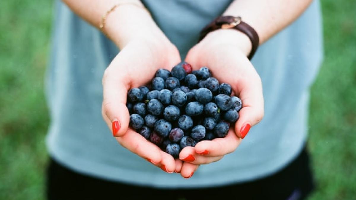 andrew_welch_i5crg4klbly_unsplash_47634800