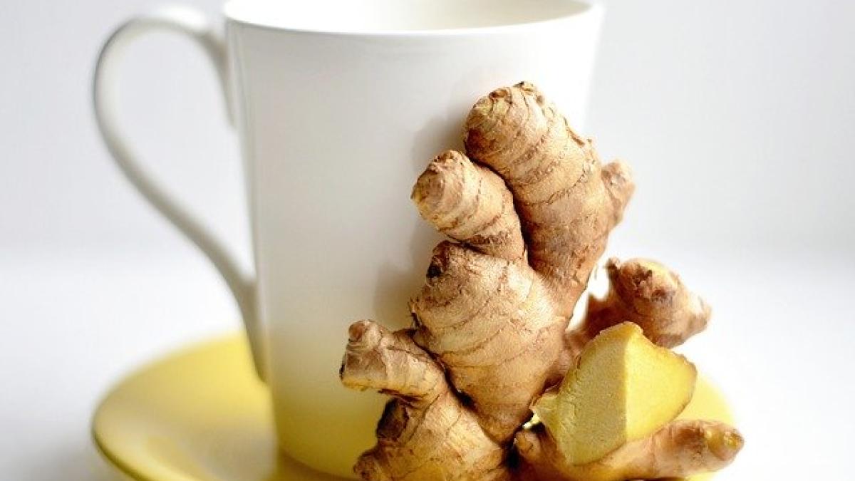 ginger_3966502_640_48486200