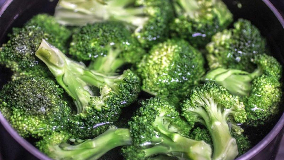 broccoli_19906300