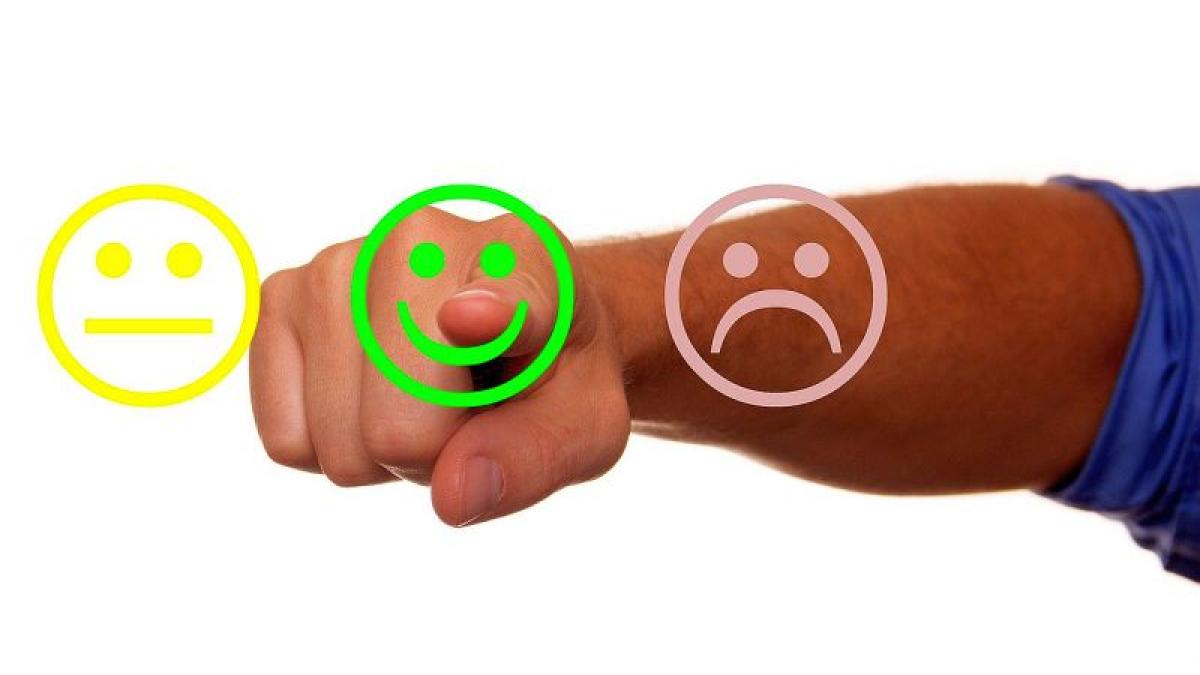 sondaj_feedback_81035500