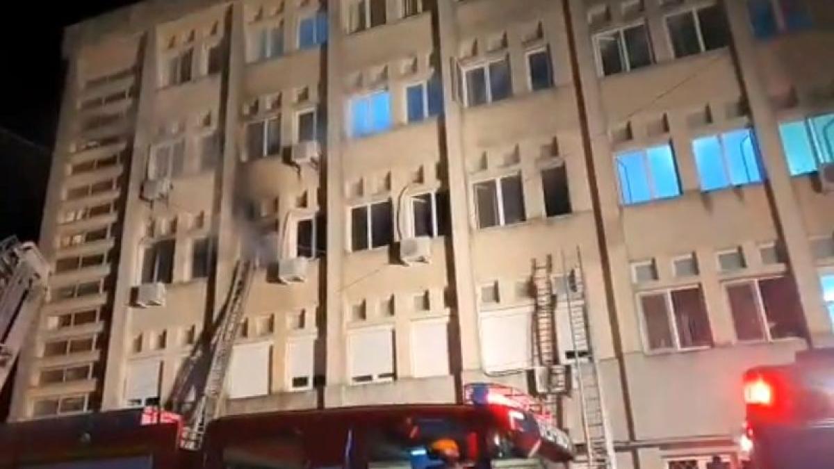 incendiu_neamt_27041700