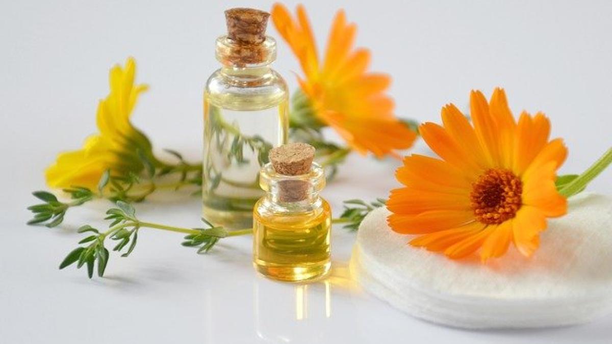 essential-oils-2738555_640_43025300