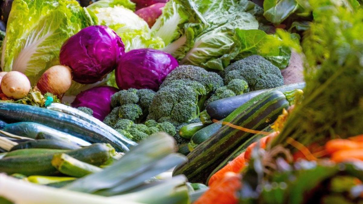 vegetale_varza_salata_broccoli_90730100