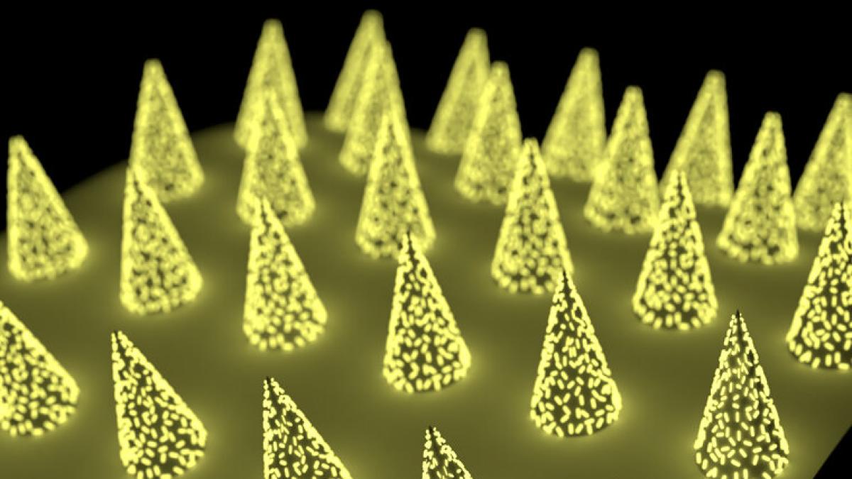 microace_37755200