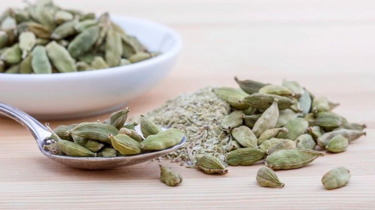 cardamom-foto-pixabay_76671700