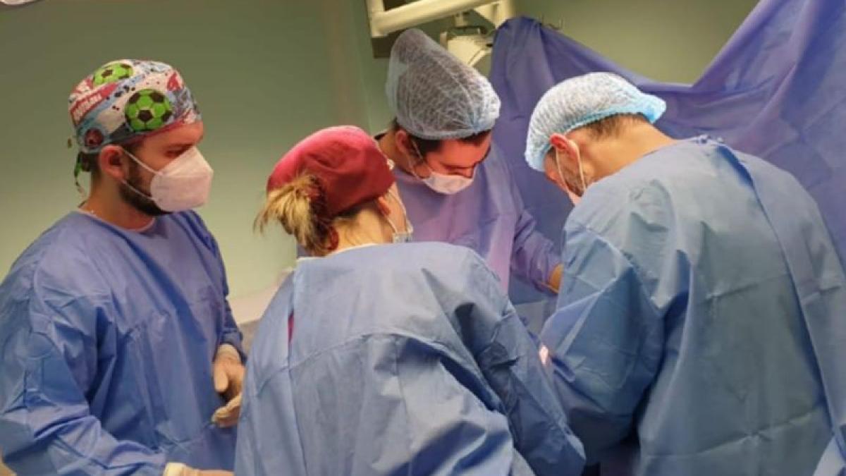 transplant-foto-ant_80321300