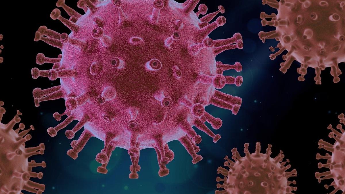 tulpina-virus_31839500