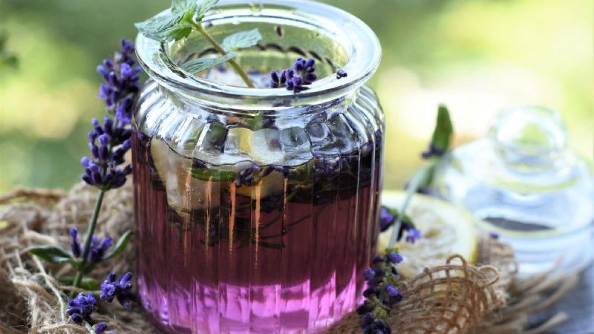 lavanda-limonada-foto-pixabay_53323600