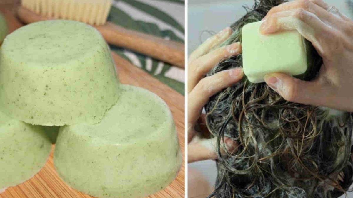sampon-aloe-vera_33136900
