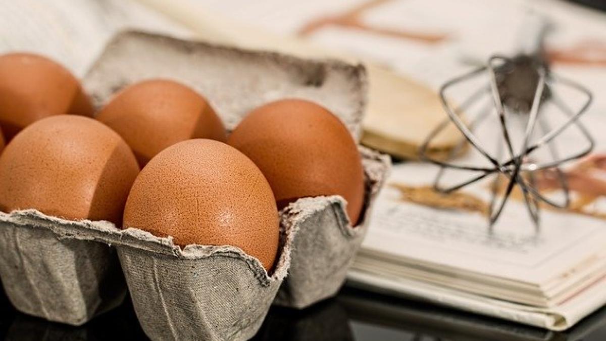egg_944495_640_00491300