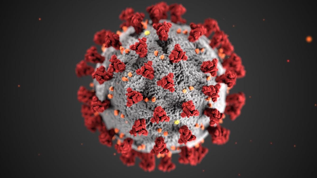 prima-fotografie-3d-coronavirus_93450900
