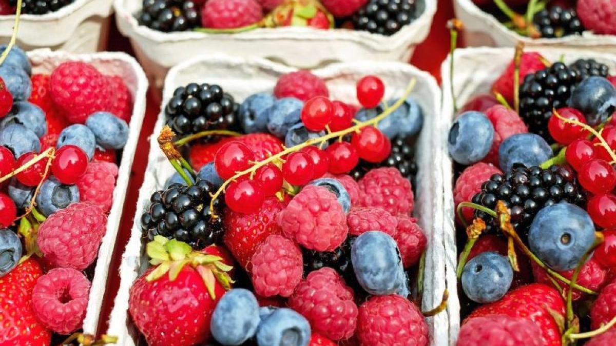 fructe-de-padure-foto-pixabay_43153900