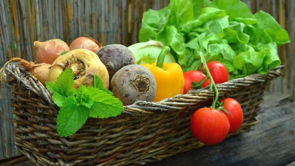 legume_98350400