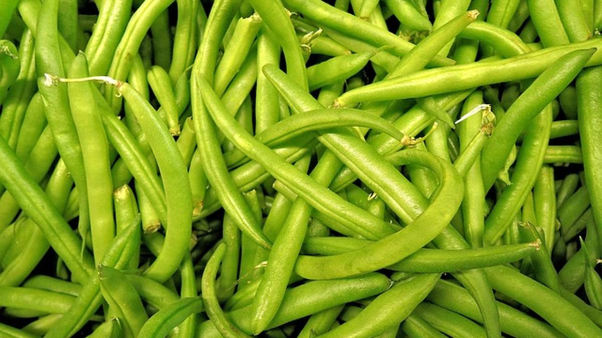 green-beans-1018624_640_74967900