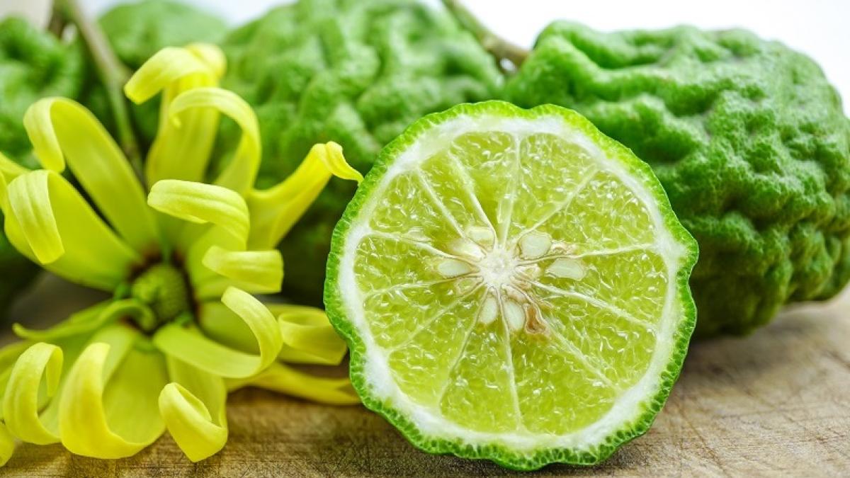 bergamota-citric_74407400