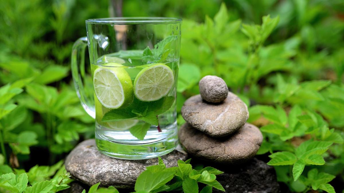 detox-ficat_53776300