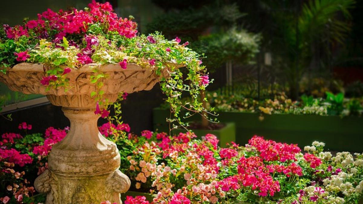 garden-670516_640_82822800