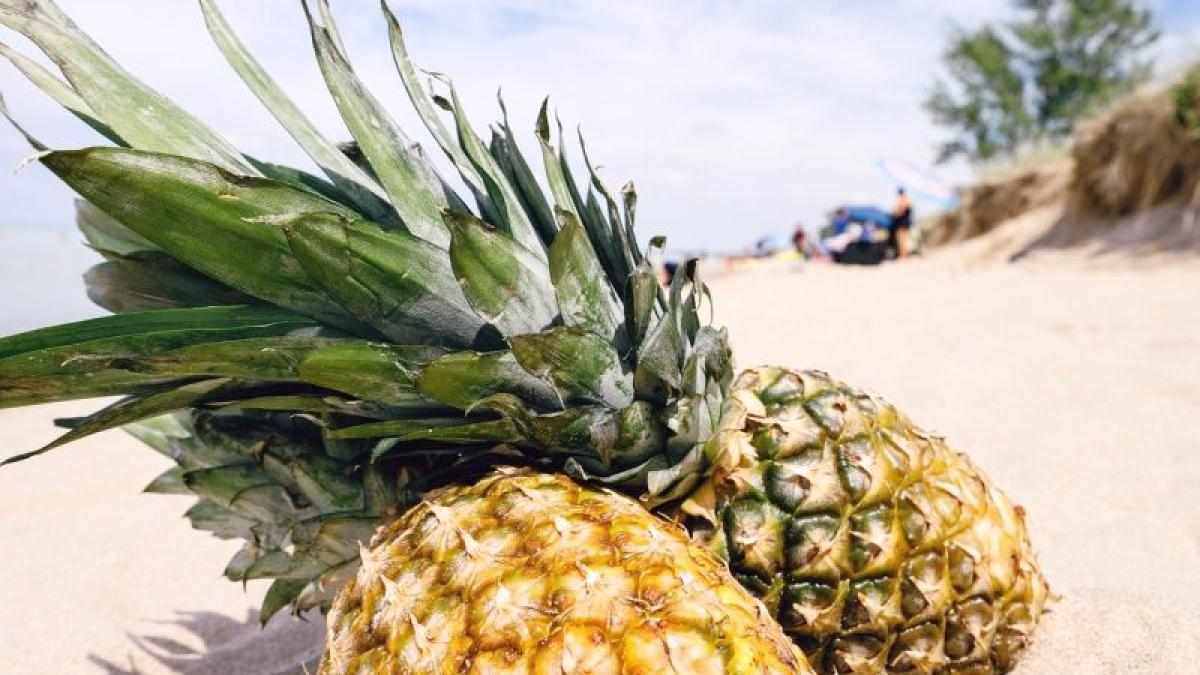 ananas-foto-pixabay_93687600