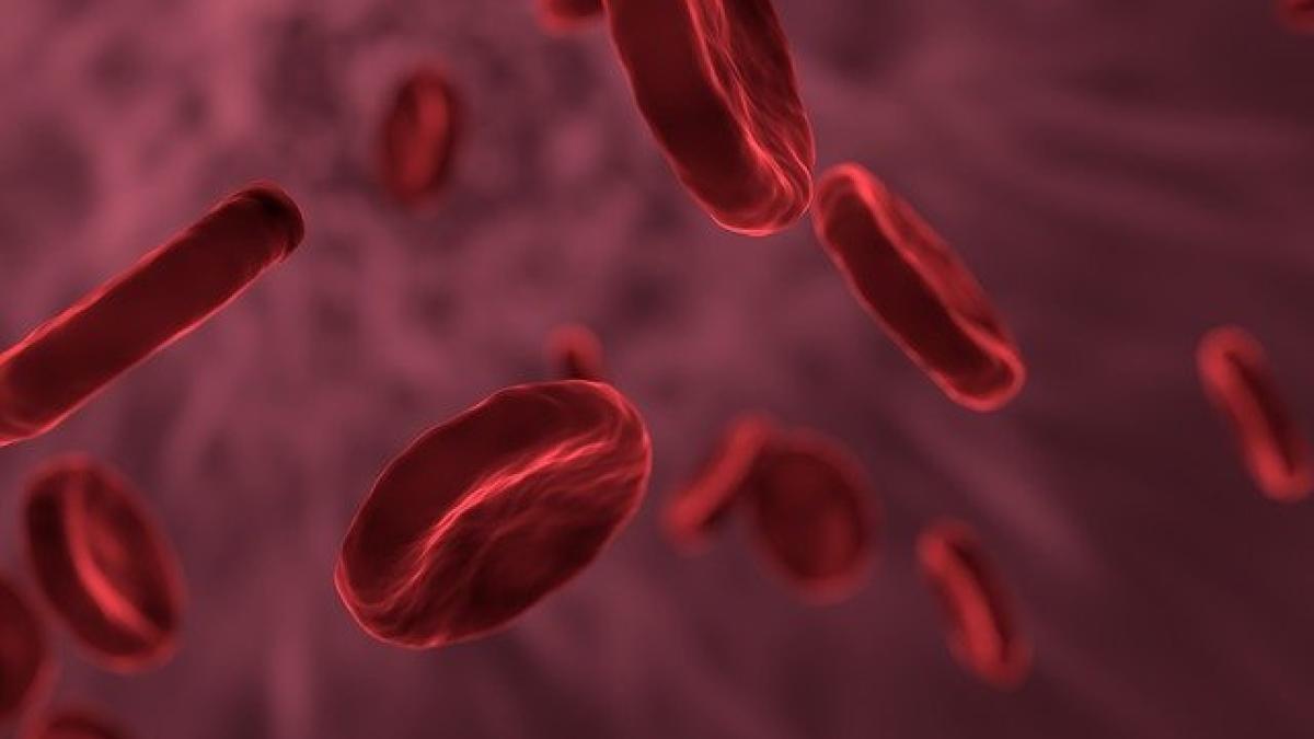 red-blood-cells-3188223_640_66610400