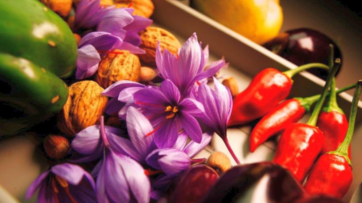 legume-foto-pixabay_91258200
