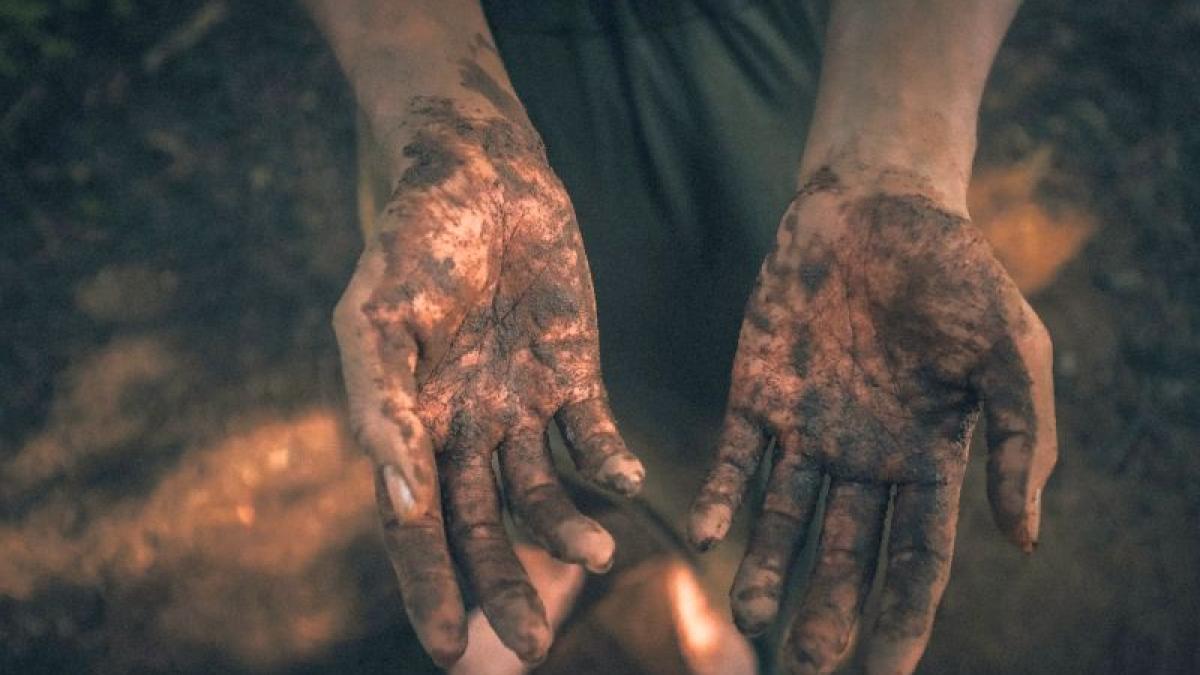 namol-henna-chris-yang-unsplash_16302100