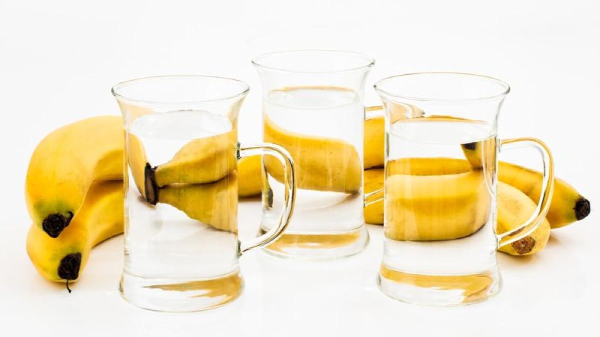 apa-calda-banana-foto-pixabay_95465300