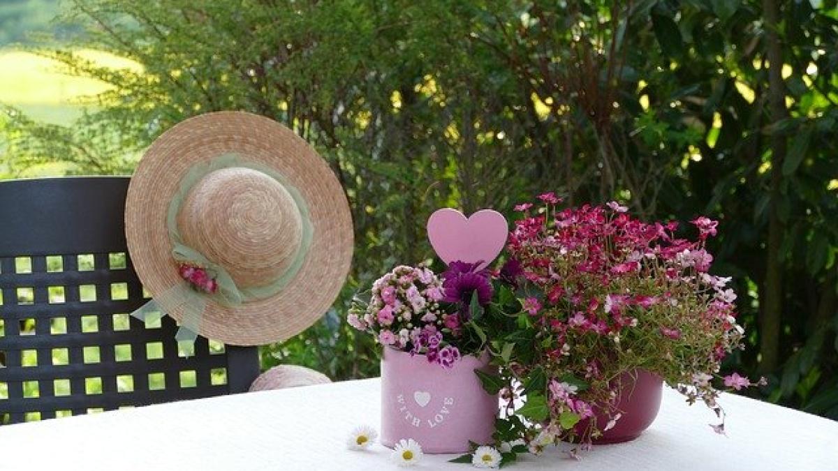 still-life-3394843_640_82916600