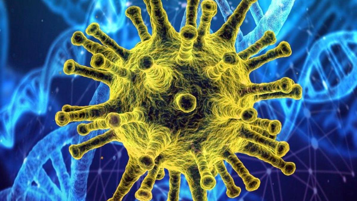 coronavirus-genetic-foto-pixabay-1_33523300