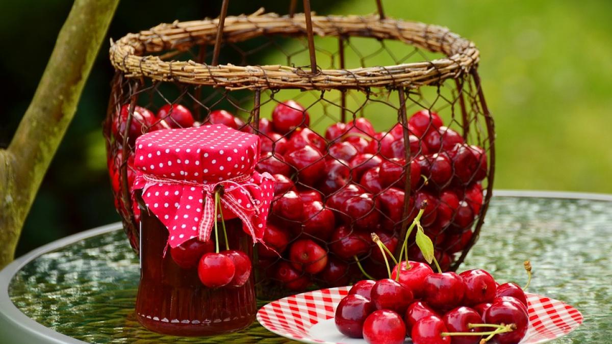 fructe_14916700