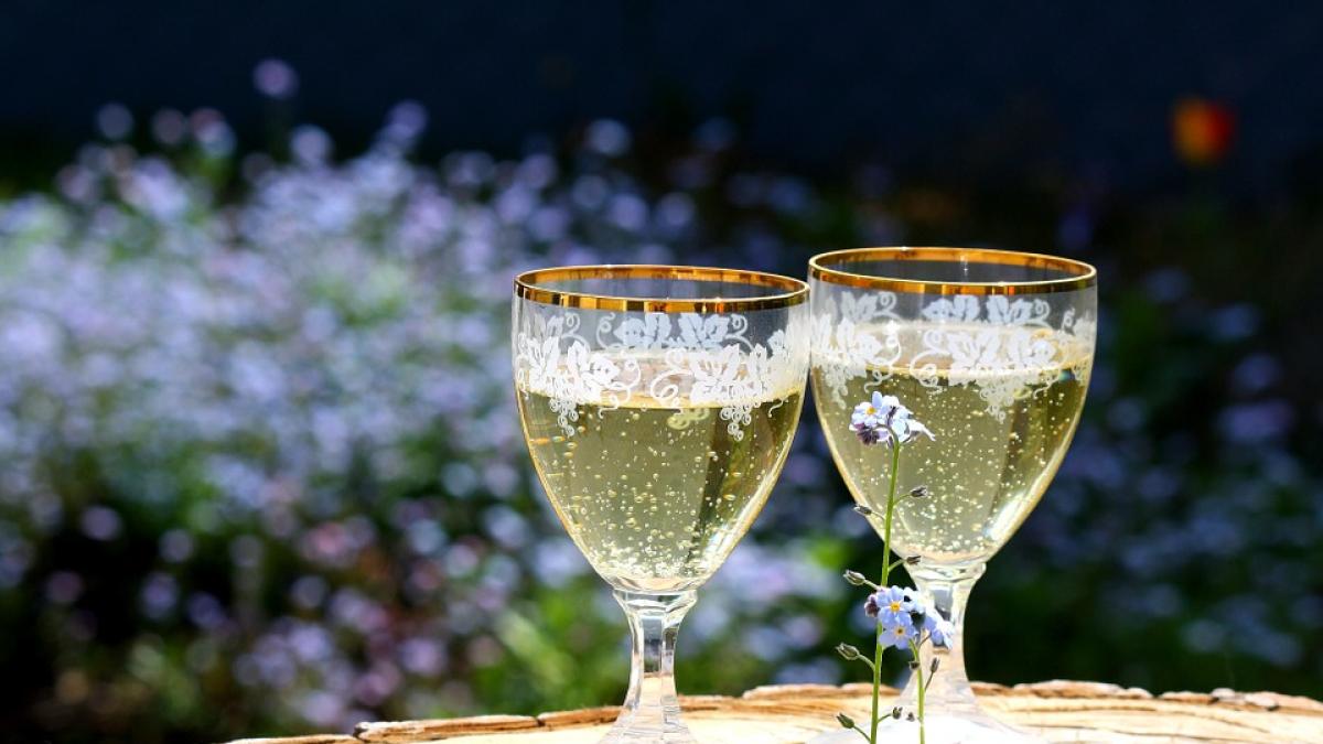 alcool-mihaela-bilic_67547200