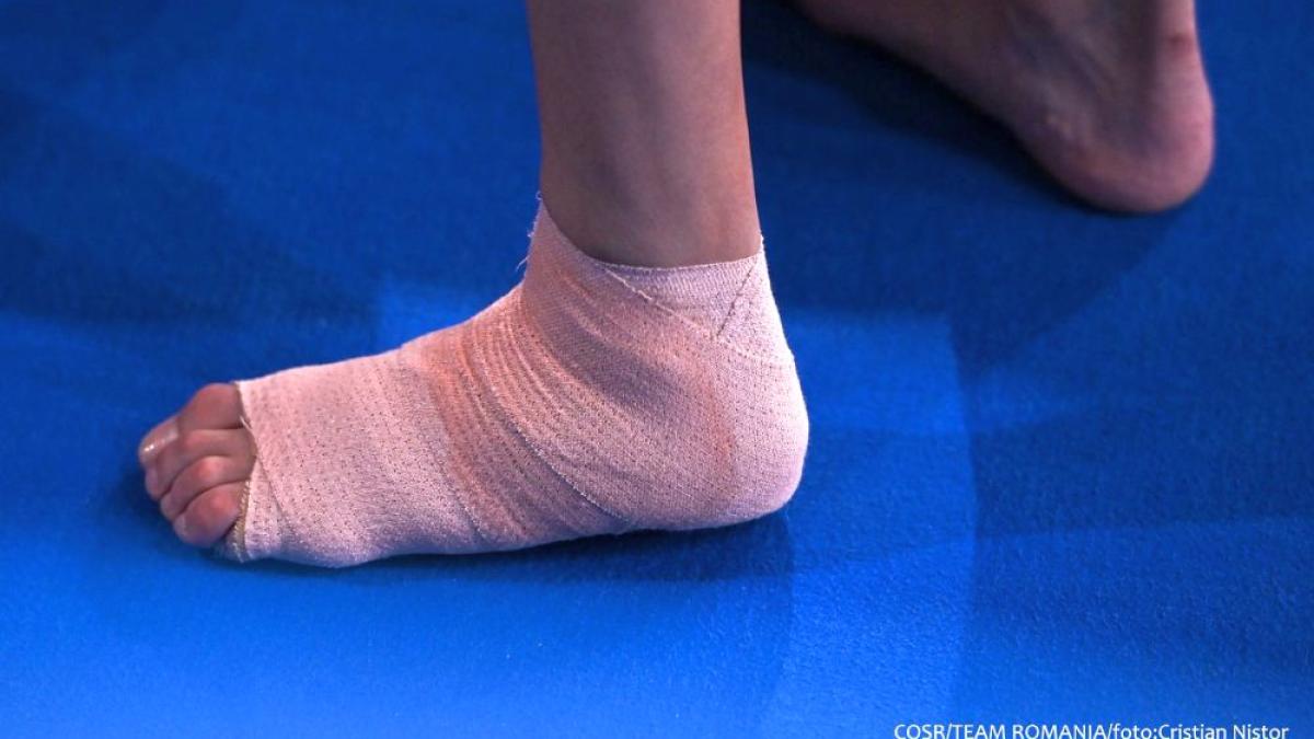 glezna-larisa-iordache_95208500